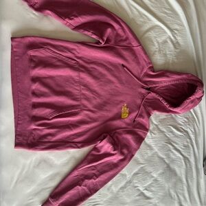 The North Face Pink Hoodie with Mountain Back Design